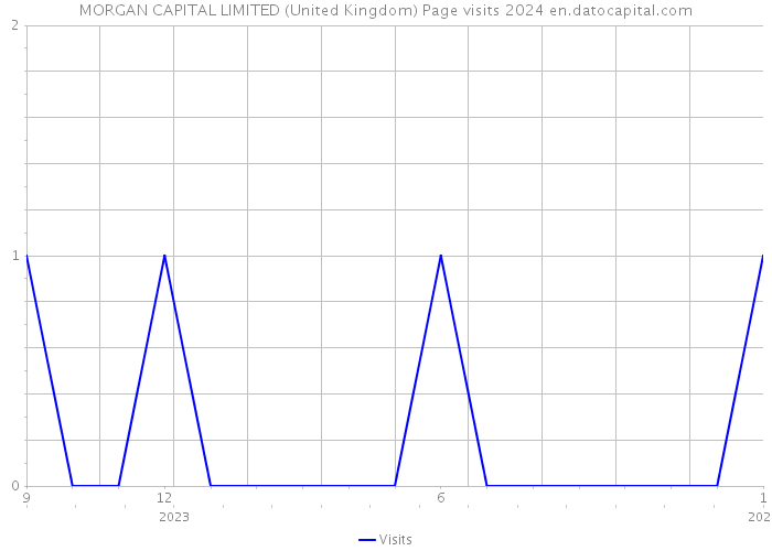 MORGAN CAPITAL LIMITED (United Kingdom) Page visits 2024 
