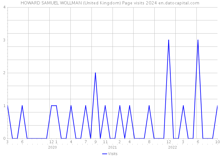 HOWARD SAMUEL WOLLMAN (United Kingdom) Page visits 2024 
