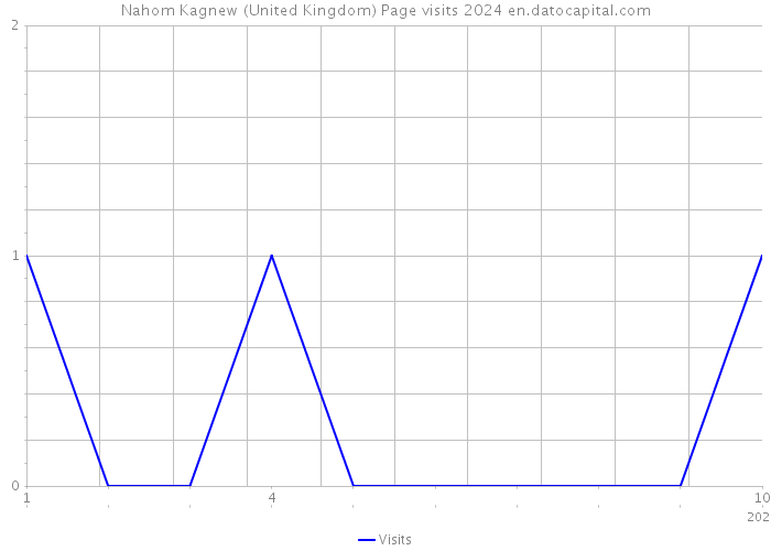 Nahom Kagnew (United Kingdom) Page visits 2024 