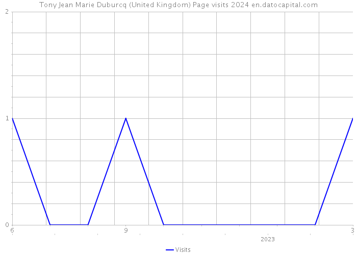 Tony Jean Marie Duburcq (United Kingdom) Page visits 2024 
