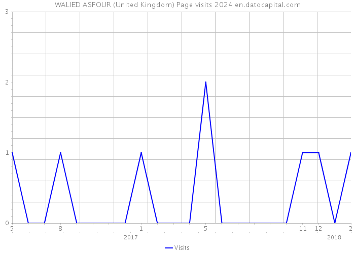 WALIED ASFOUR (United Kingdom) Page visits 2024 