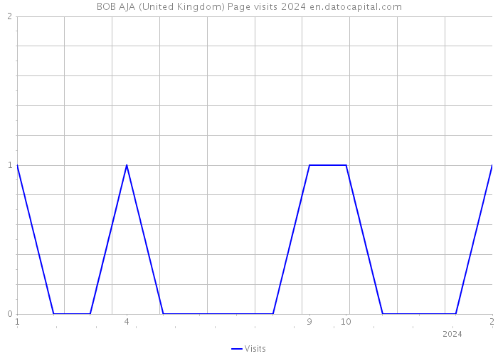 BOB AJA (United Kingdom) Page visits 2024 