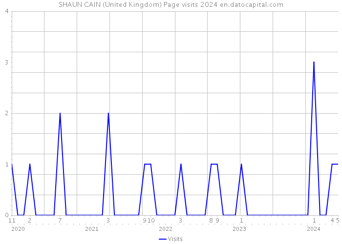 SHAUN CAIN (United Kingdom) Page visits 2024 