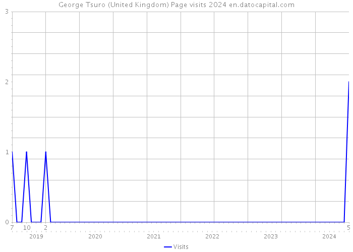 George Tsuro (United Kingdom) Page visits 2024 