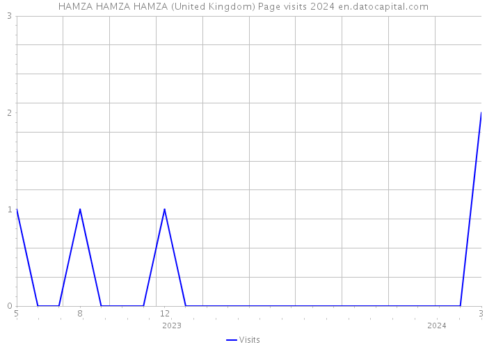 HAMZA HAMZA HAMZA (United Kingdom) Page visits 2024 