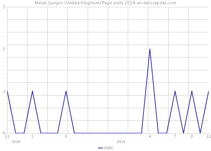 Meral Gungor (United Kingdom) Page visits 2024 