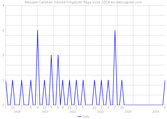 Meryam Caliskan (United Kingdom) Page visits 2024 