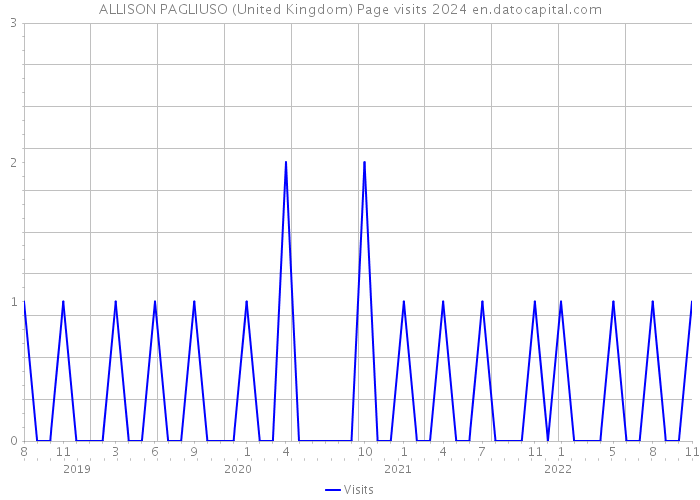ALLISON PAGLIUSO (United Kingdom) Page visits 2024 