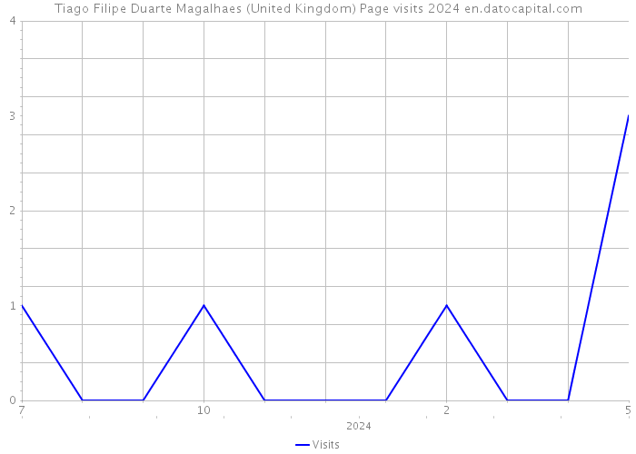 Tiago Filipe Duarte Magalhaes (United Kingdom) Page visits 2024 