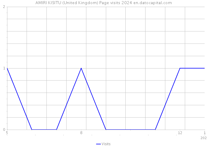 AMIRI KISITU (United Kingdom) Page visits 2024 