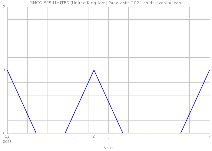 PINCO 825 LIMITED (United Kingdom) Page visits 2024 