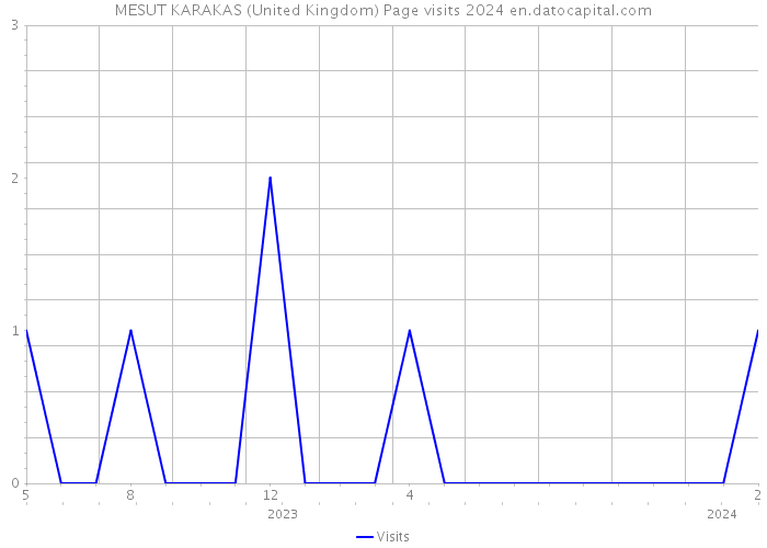MESUT KARAKAS (United Kingdom) Page visits 2024 