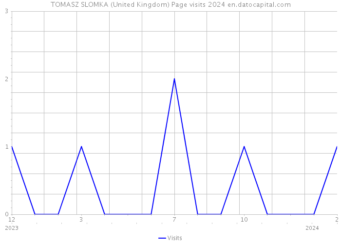 TOMASZ SLOMKA (United Kingdom) Page visits 2024 
