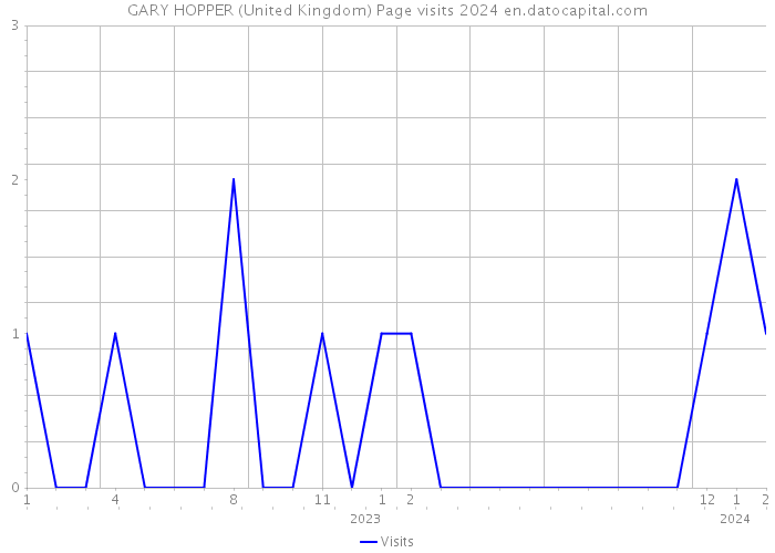 GARY HOPPER (United Kingdom) Page visits 2024 