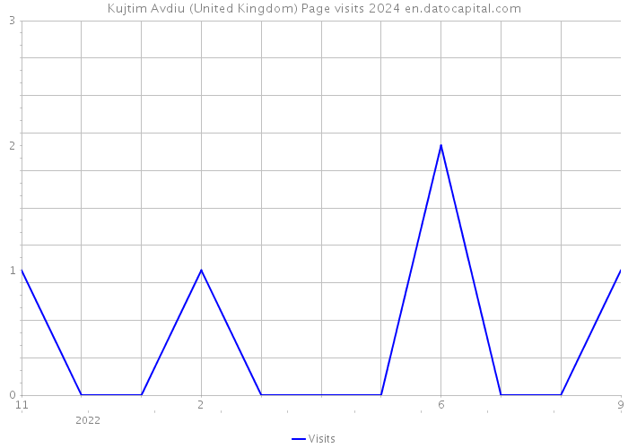 Kujtim Avdiu (United Kingdom) Page visits 2024 