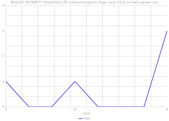 BINGLEY PROPERTY HOLDINGS LTD (United Kingdom) Page visits 2024 