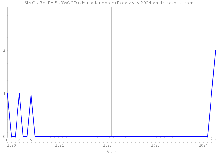 SIMON RALPH BURWOOD (United Kingdom) Page visits 2024 