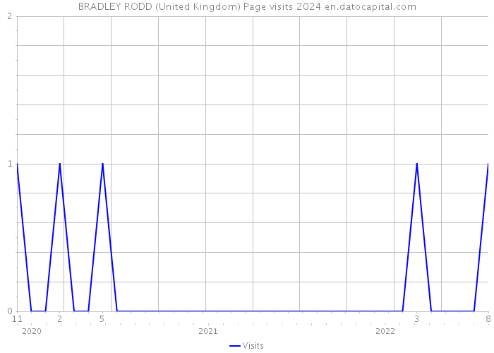 BRADLEY RODD (United Kingdom) Page visits 2024 