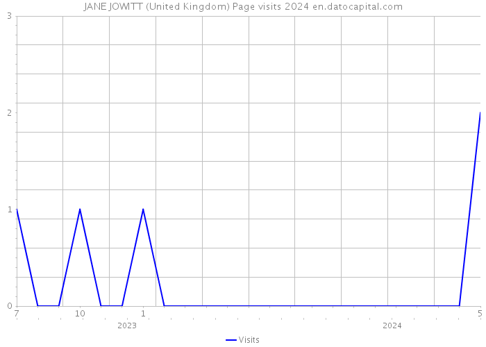JANE JOWITT (United Kingdom) Page visits 2024 
