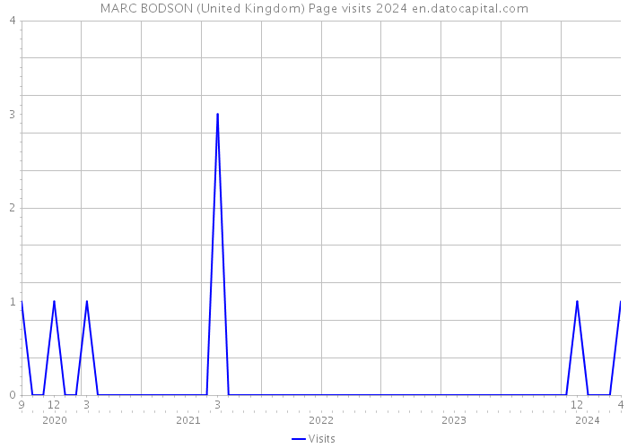 MARC BODSON (United Kingdom) Page visits 2024 