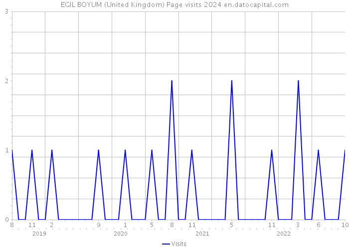 EGIL BOYUM (United Kingdom) Page visits 2024 