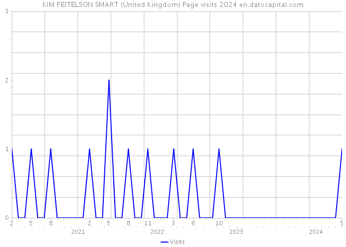 KIM FEITELSON SMART (United Kingdom) Page visits 2024 
