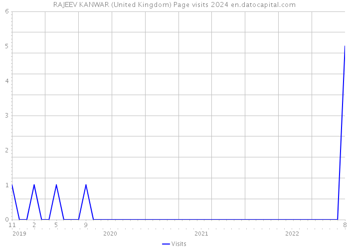 RAJEEV KANWAR (United Kingdom) Page visits 2024 