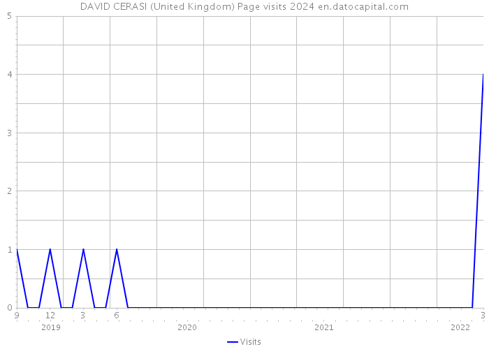 DAVID CERASI (United Kingdom) Page visits 2024 