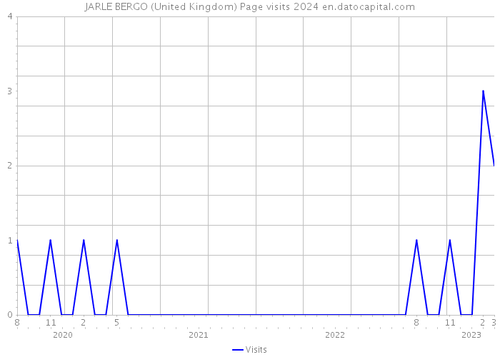JARLE BERGO (United Kingdom) Page visits 2024 