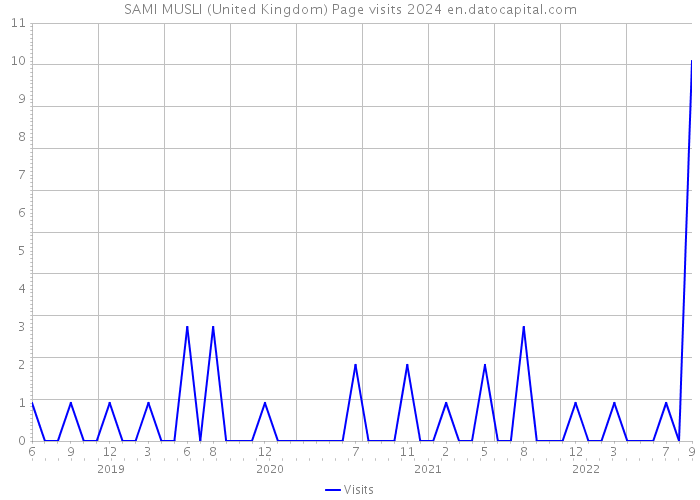 SAMI MUSLI (United Kingdom) Page visits 2024 