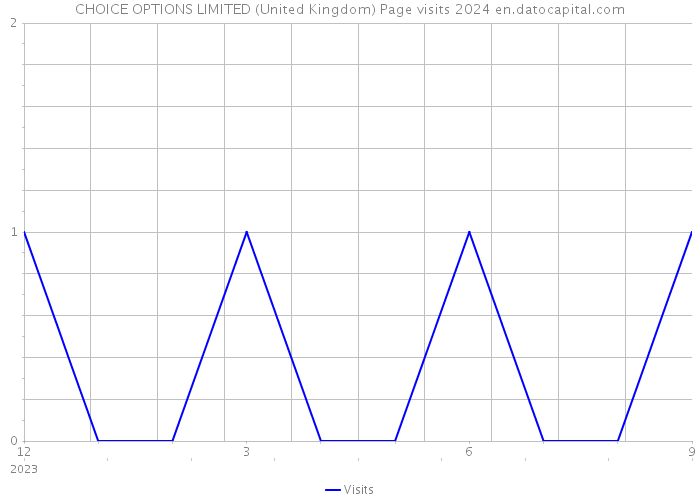 CHOICE OPTIONS LIMITED (United Kingdom) Page visits 2024 