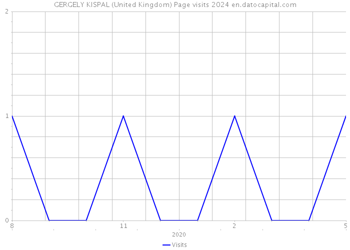 GERGELY KISPAL (United Kingdom) Page visits 2024 