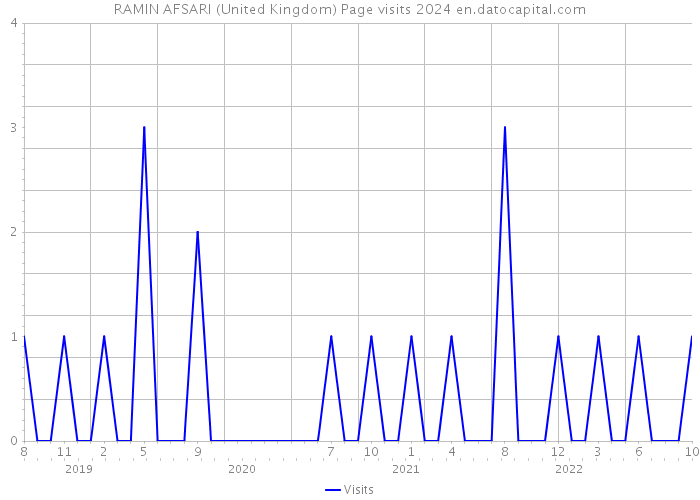 RAMIN AFSARI (United Kingdom) Page visits 2024 