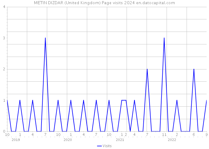 METIN DIZDAR (United Kingdom) Page visits 2024 