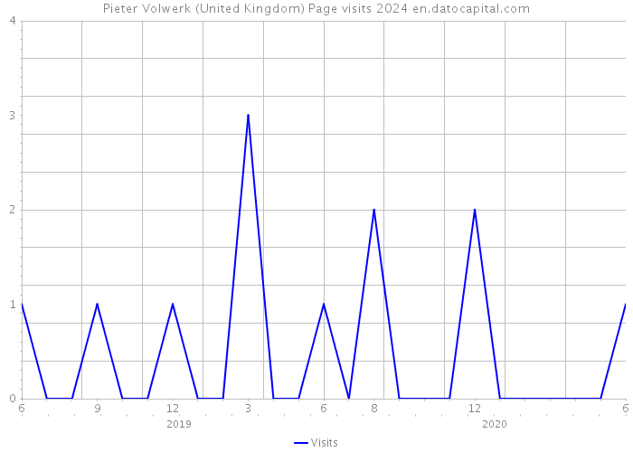Pieter Volwerk (United Kingdom) Page visits 2024 