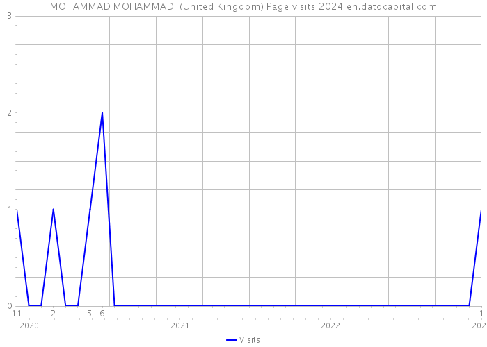 MOHAMMAD MOHAMMADI (United Kingdom) Page visits 2024 