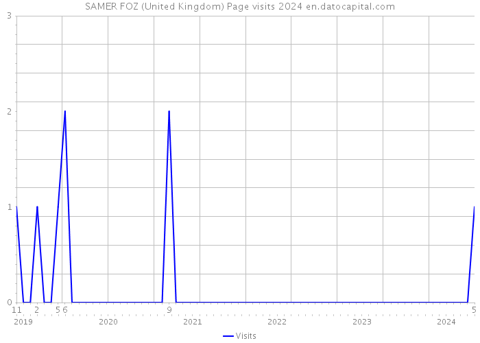 SAMER FOZ (United Kingdom) Page visits 2024 