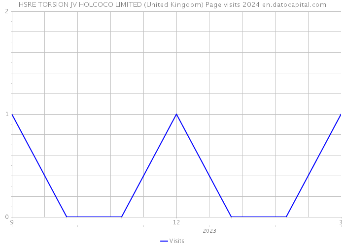 HSRE TORSION JV HOLCOCO LIMITED (United Kingdom) Page visits 2024 
