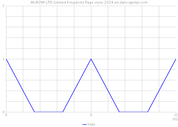 MURZIM LTD (United Kingdom) Page visits 2024 