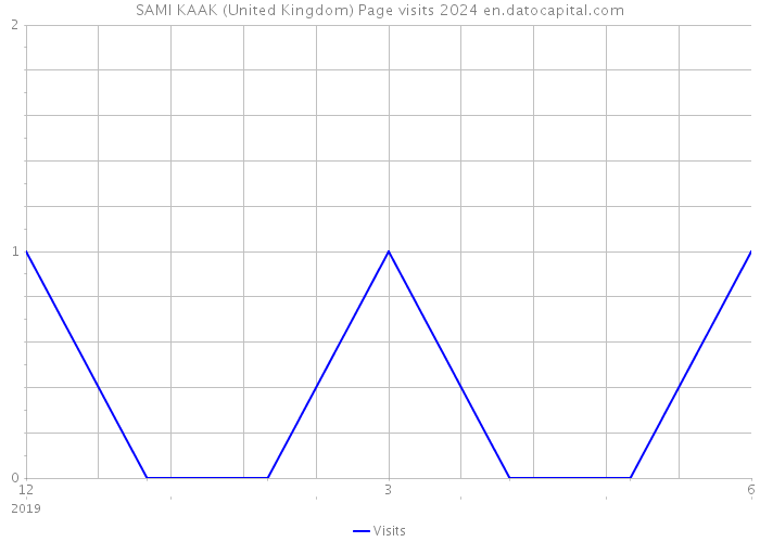 SAMI KAAK (United Kingdom) Page visits 2024 