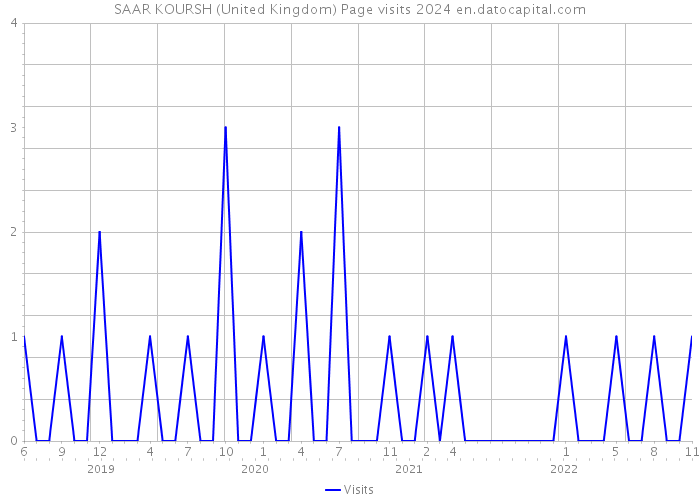 SAAR KOURSH (United Kingdom) Page visits 2024 