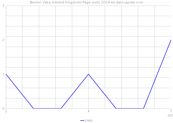 Besmir Vaka (United Kingdom) Page visits 2024 
