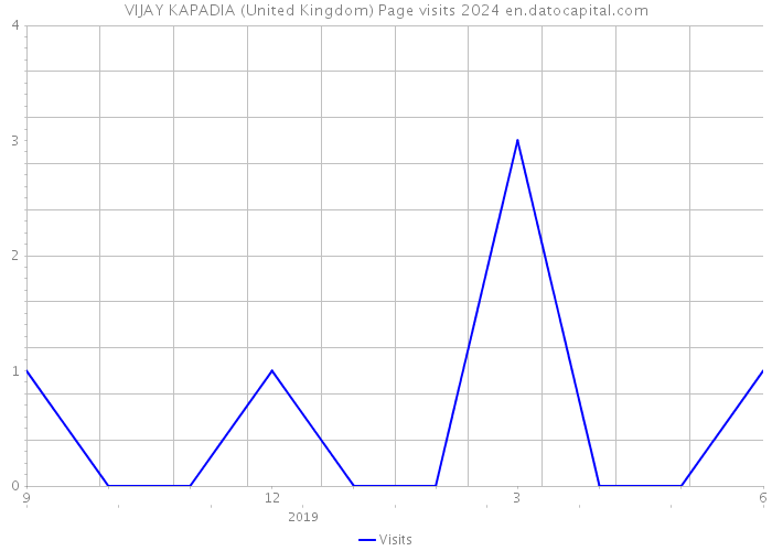 VIJAY KAPADIA (United Kingdom) Page visits 2024 