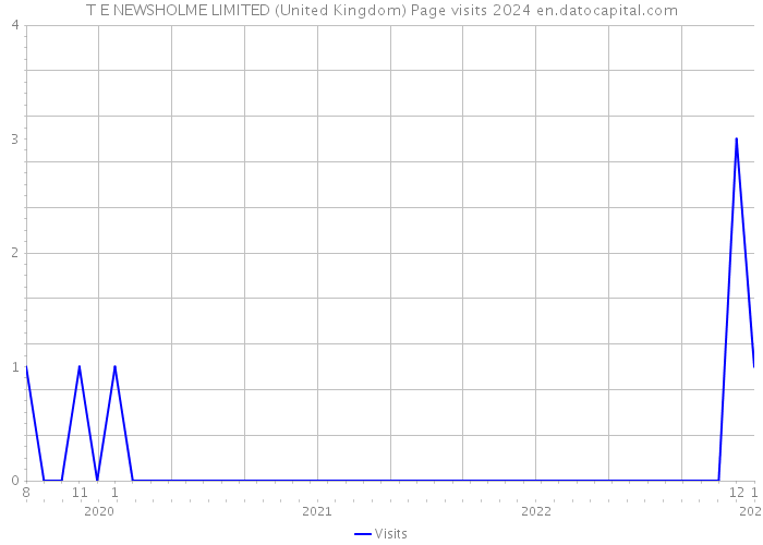 T E NEWSHOLME LIMITED (United Kingdom) Page visits 2024 