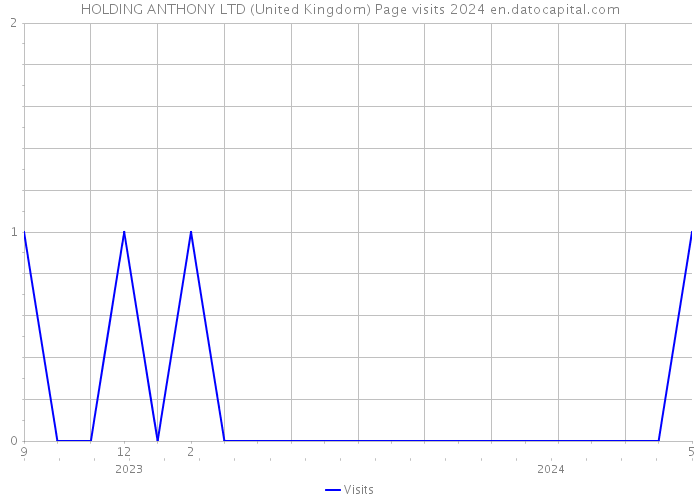 HOLDING ANTHONY LTD (United Kingdom) Page visits 2024 