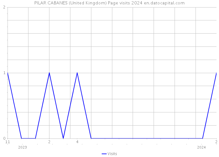 PILAR CABANES (United Kingdom) Page visits 2024 