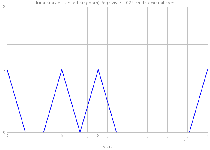 Irina Knaster (United Kingdom) Page visits 2024 