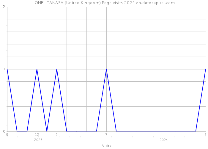 IONEL TANASA (United Kingdom) Page visits 2024 