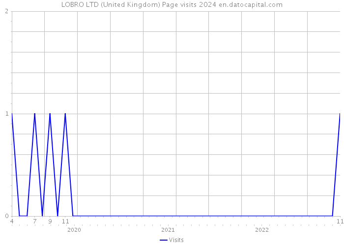 LOBRO LTD (United Kingdom) Page visits 2024 