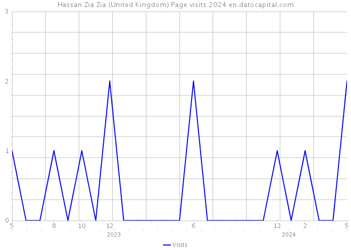 Hassan Zia Zia (United Kingdom) Page visits 2024 